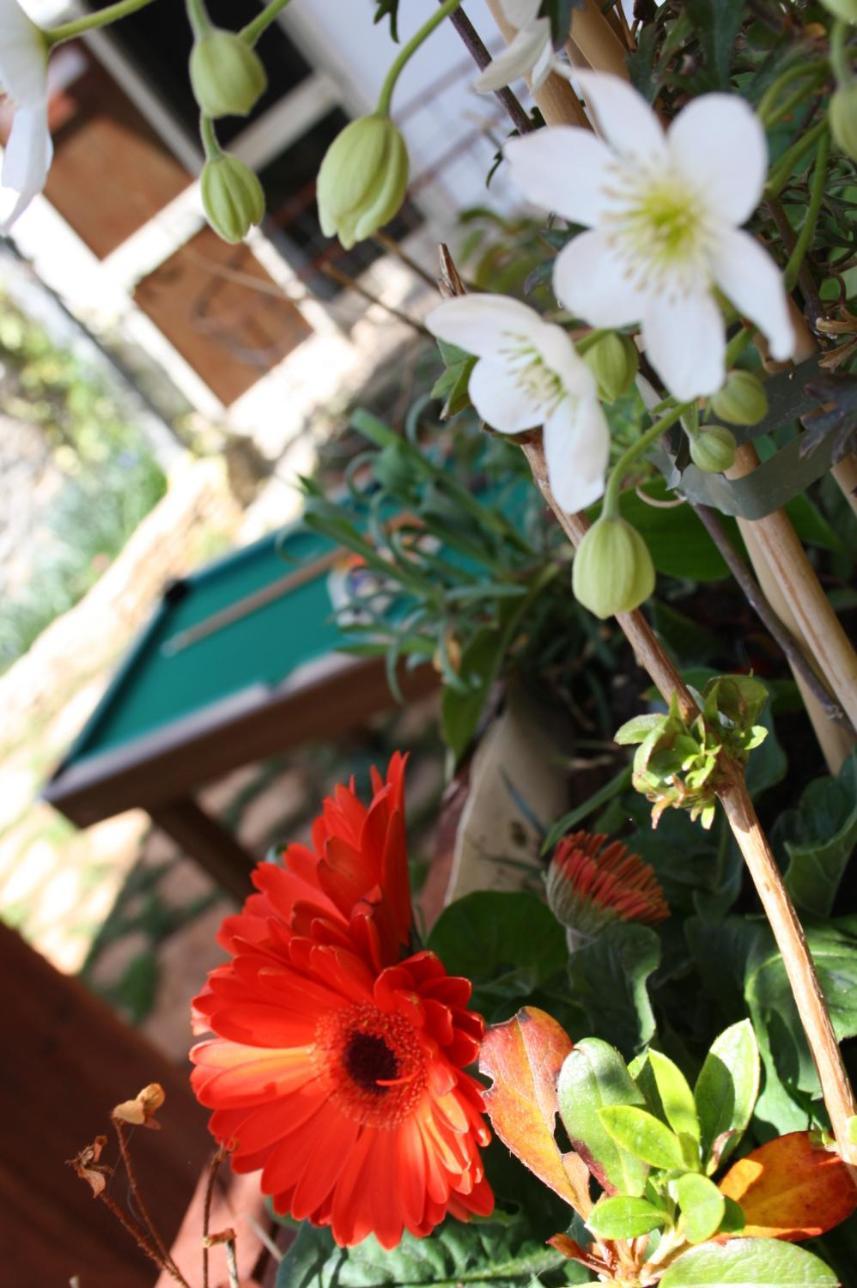 La Cascata Bed and Breakfast Noci Buitenkant foto