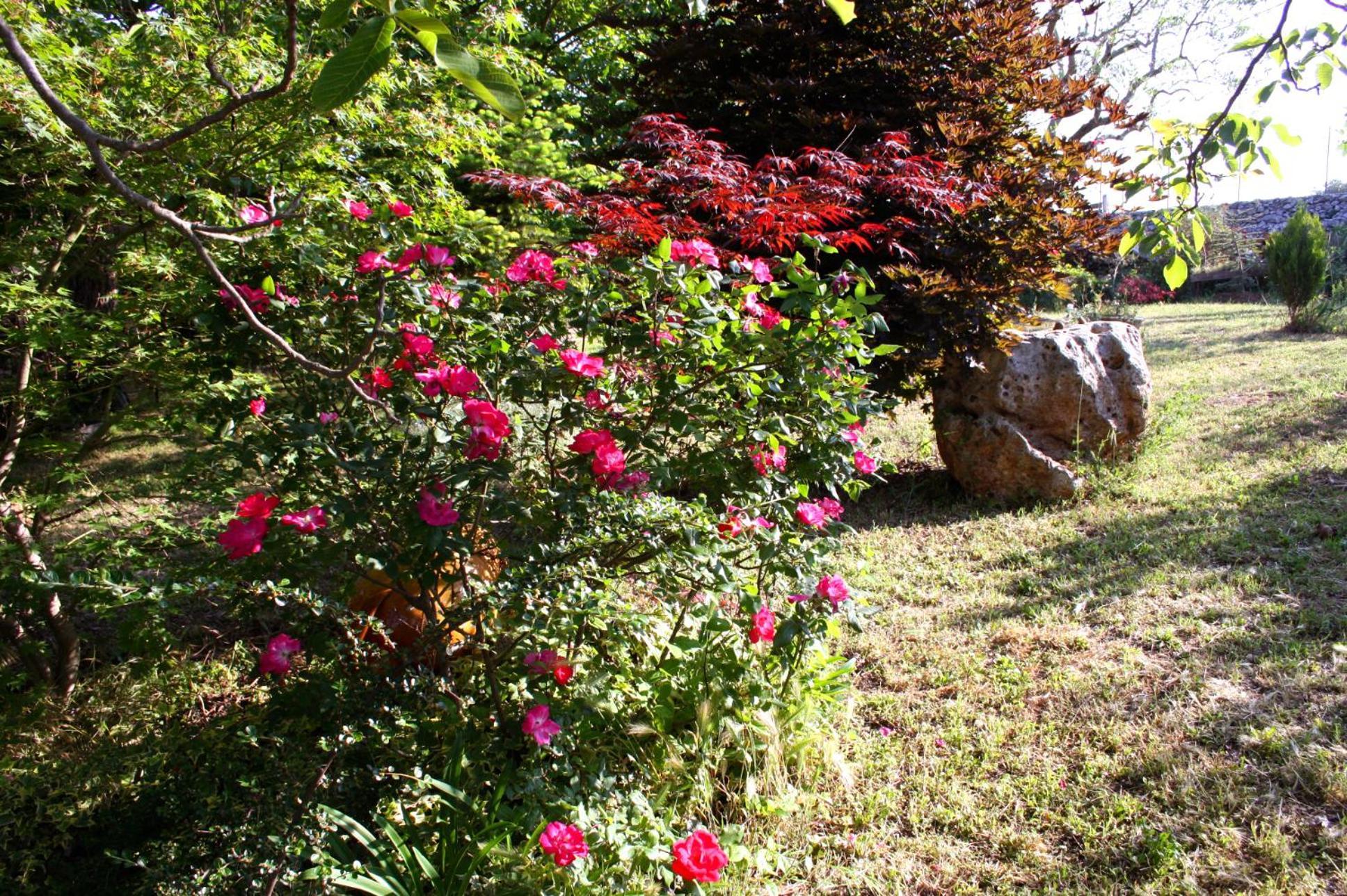 La Cascata Bed and Breakfast Noci Buitenkant foto